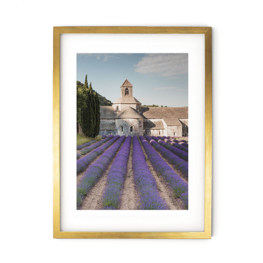 Senanque Abbey, Provence