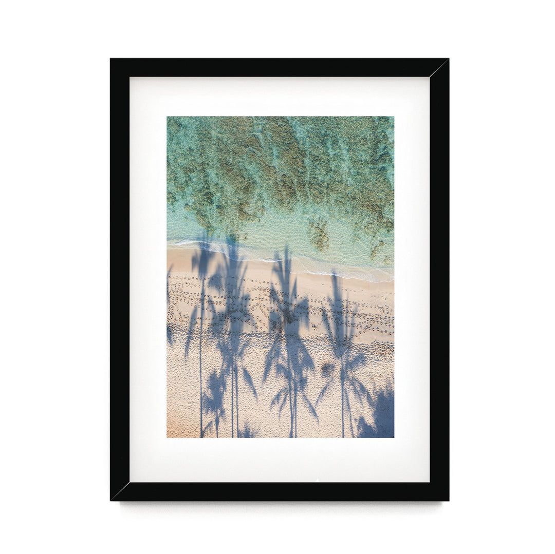 Palm Trees and Beach