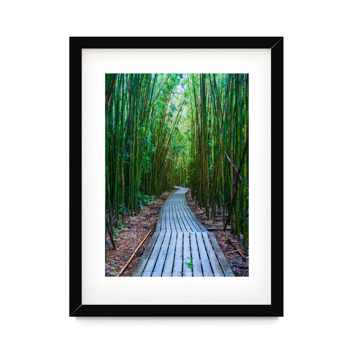 Maui Bamboo Forest II