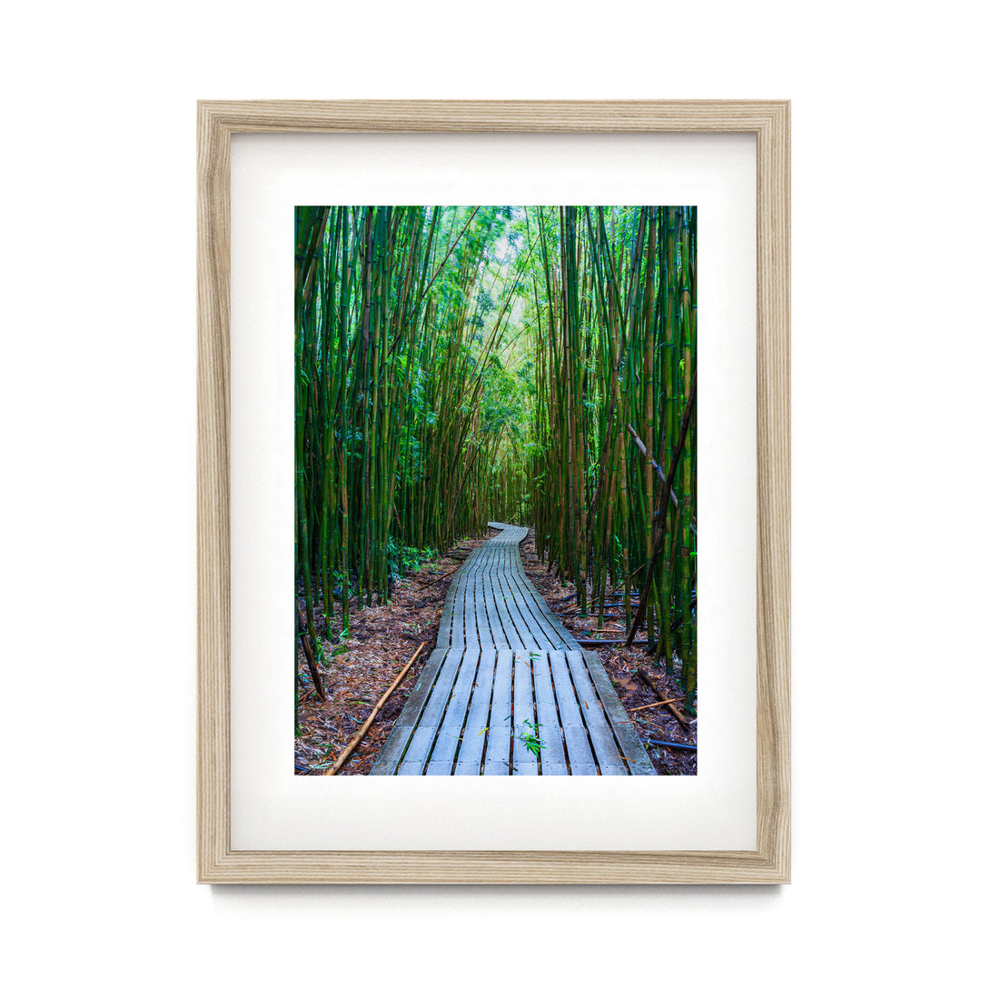 Maui Bamboo Forest II