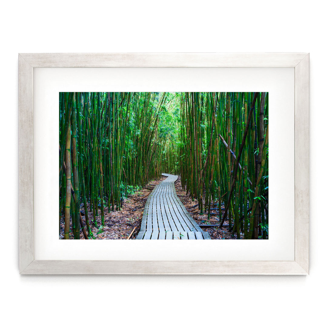 Maui Bamboo Forest I