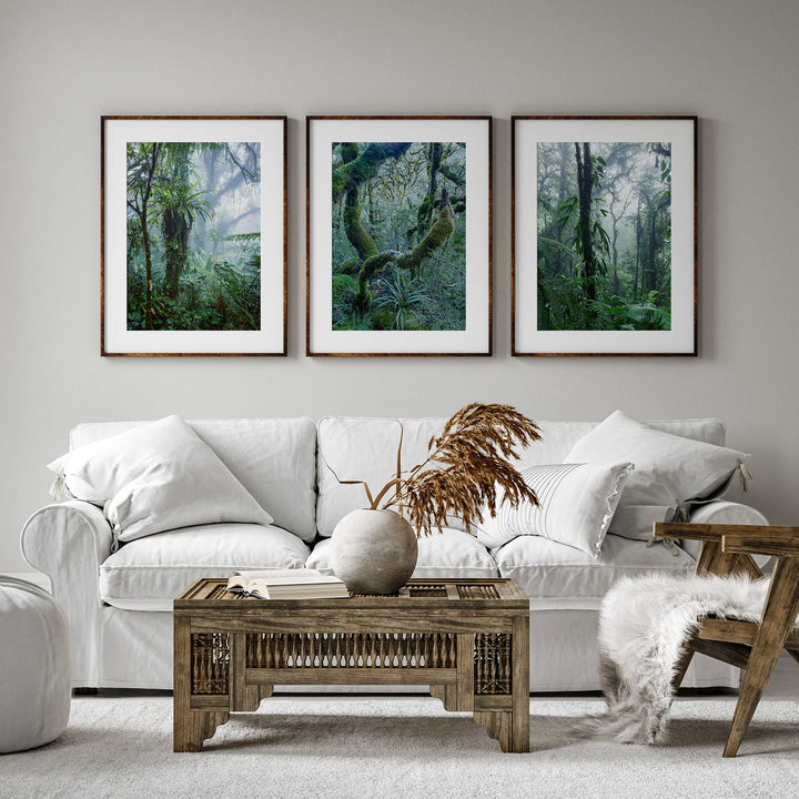 Rainforest Print Set