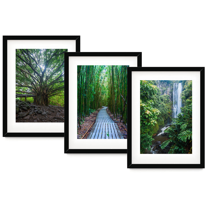 Hawaii Nature Print Set