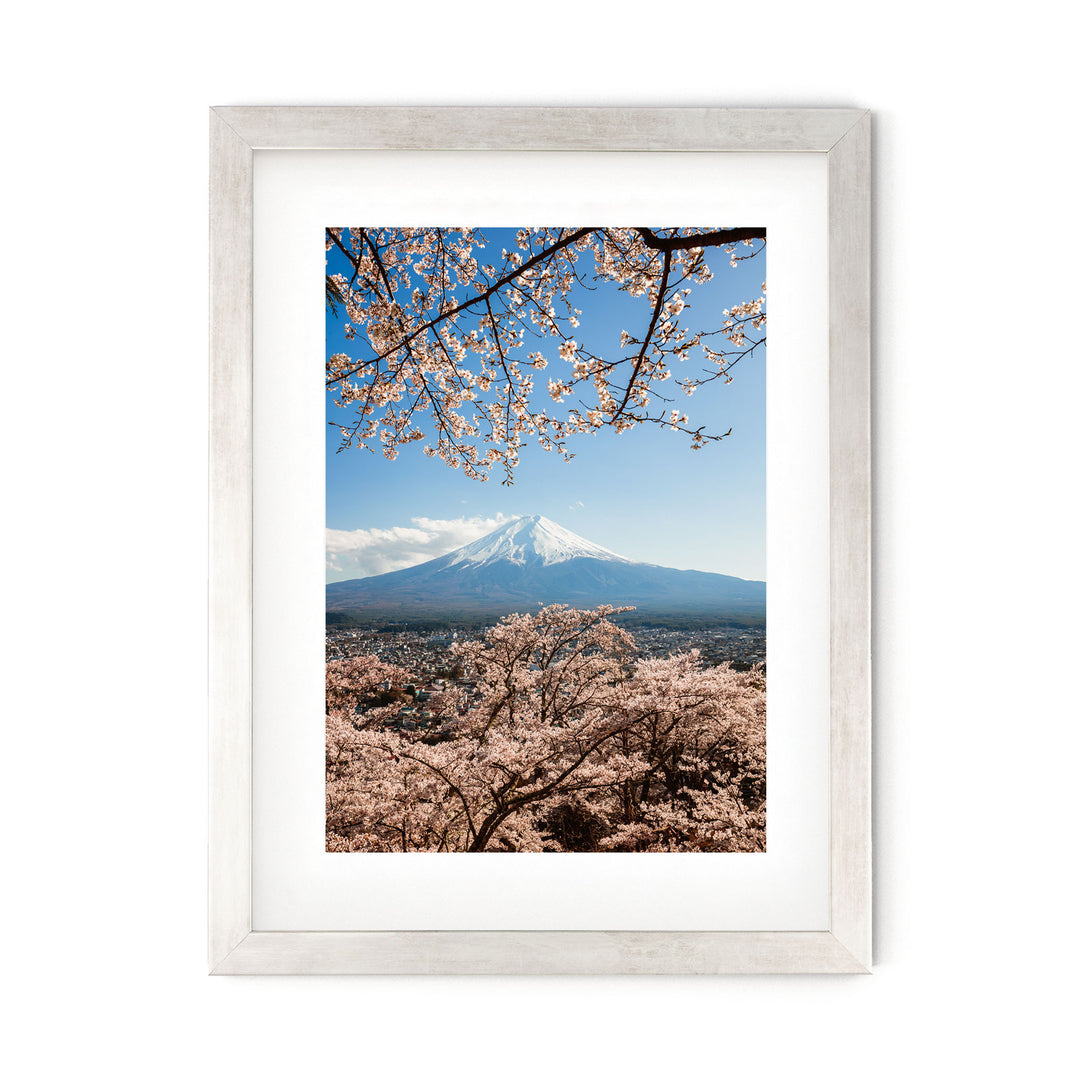 Cherry blossoms at Mt Fuji