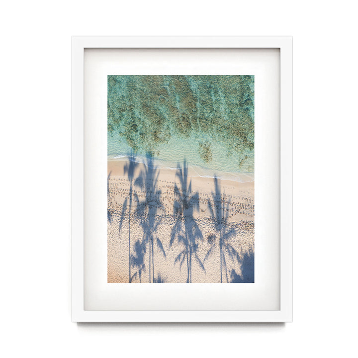 Palm Trees and Beach
